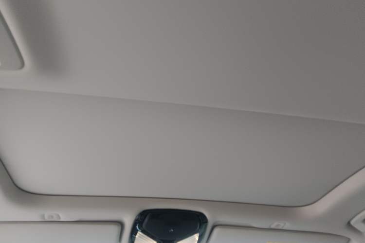 Used BMW 5 Series New Energy 2019 530Le Luxury Package Headliner