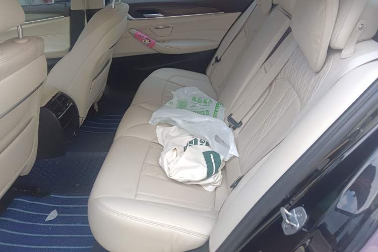 Used BMW 5 Series New Energy 2019 530Le Luxury Package Left Rear Seat