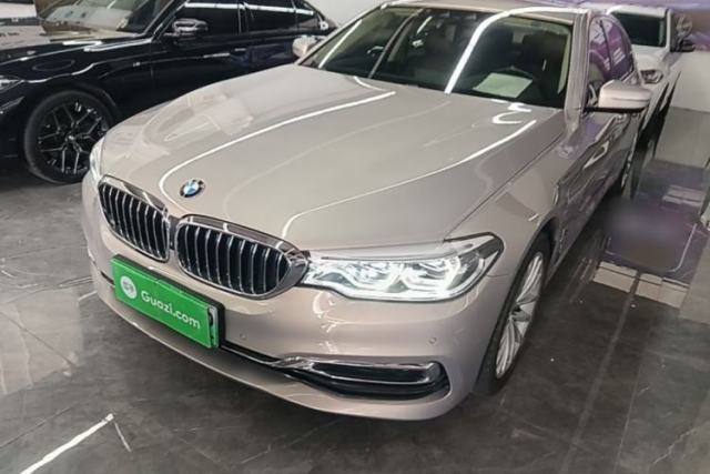 Used BMW 5 Series New Energy 2019 530Le Luxury Package