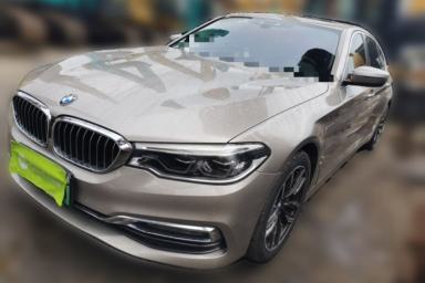 Used BMW 5 Series New Energy 2019 530Le Luxury Package