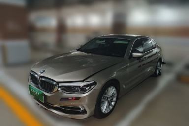 Used BMW 5 Series New Energy 2019 530Le Luxury Package