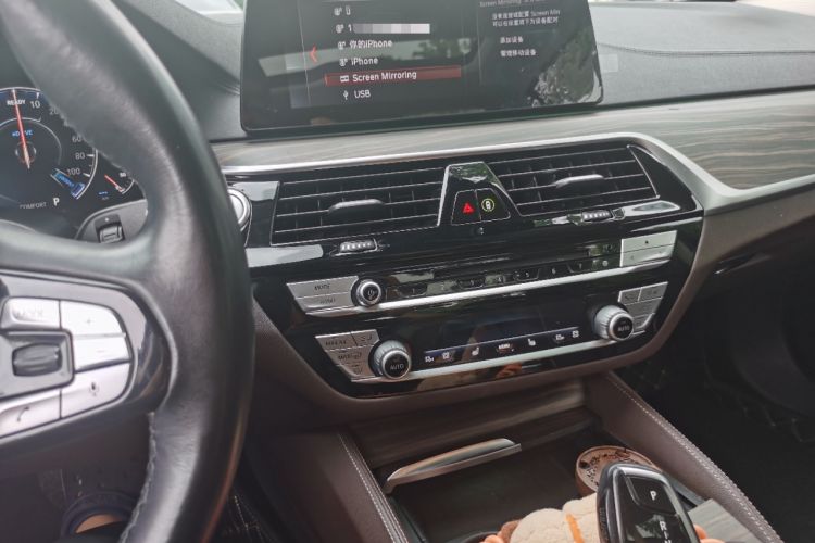 Used BMW 5 Series New Energy 2019 530Le Luxury Package Audio And AC Panel