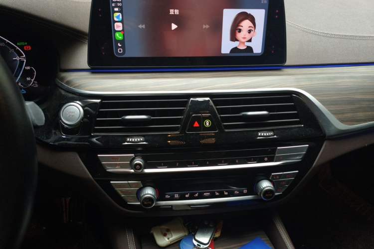 Used BMW 5 Series New Energy 2019 Updated 530Le Pioneer Edition Audio And AC Panel