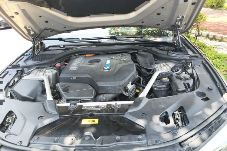 Used BMW 5 Series New Energy 2019 530Le Luxury Package Engine Bay