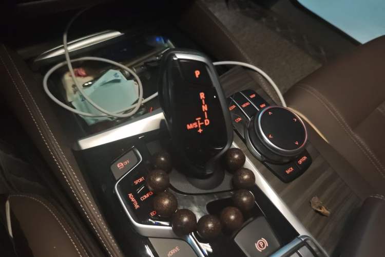 Used BMW 5 Series New Energy 2019 530Le Luxury Package Gear Lever