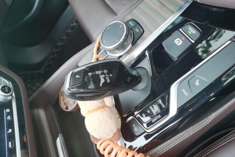 Used BMW 5 Series New Energy 2019 530Le Luxury Package Gear Lever