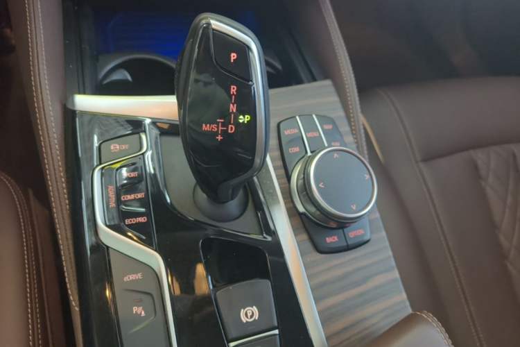 Used BMW 5 Series New Energy 2019 530Le Luxury Package Gear Lever