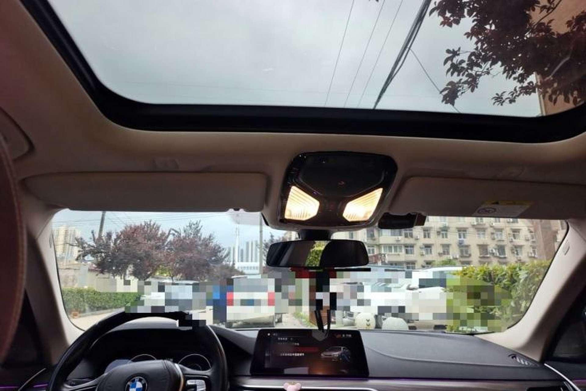 Used BMW 5 Series New Energy 2019 530Le Pioneer Edition Headliner
