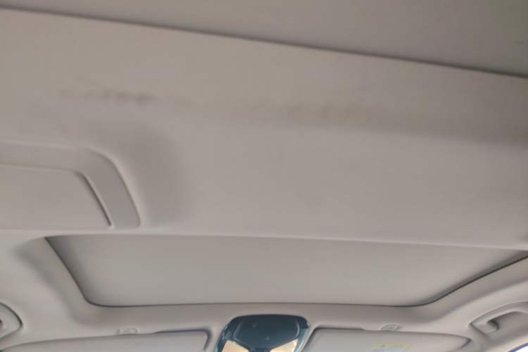 Used BMW 5 Series New Energy 2019 530Le Luxury Package Headliner