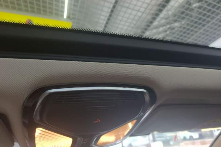 Used BMW 5 Series New Energy 2019 530Le Luxury Package Headliner