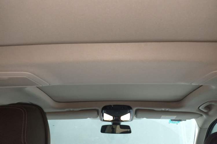 Used BMW 5 Series New Energy 2019 Updated 530Le Pioneer Edition Headliner