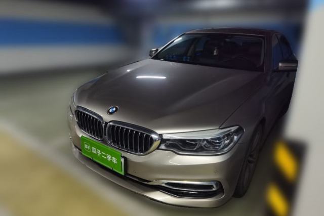 Used BMW 5 Series New Energy 2019 530Le Luxury Package