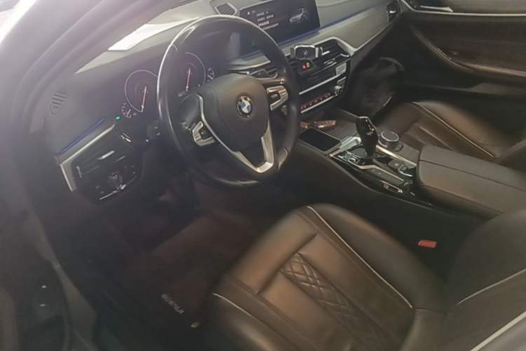 Used BMW 5 Series New Energy 2019 530Le Luxury Package Left Front Seat