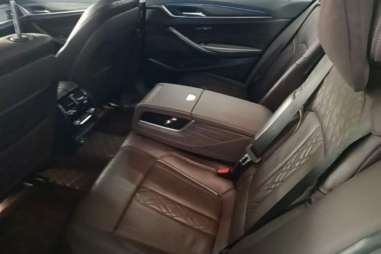 Used BMW 5 Series New Energy 2019 530Le Luxury Package Left Rear Seat