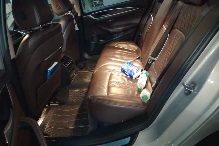 Used BMW 5 Series New Energy 2019 Updated Version 530Le Luxury Package Left Rear Seat