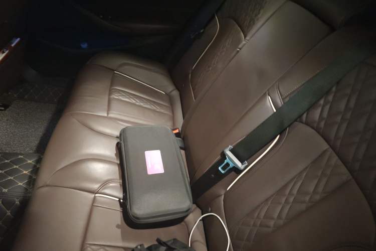 Used BMW 5 Series New Energy 2019 530Le Luxury Package Left Rear Seat