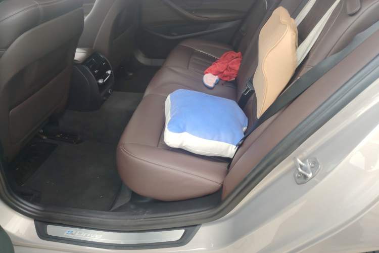 Used BMW 5 Series New Energy 2019 530Le Luxury Package Left Rear Seat
