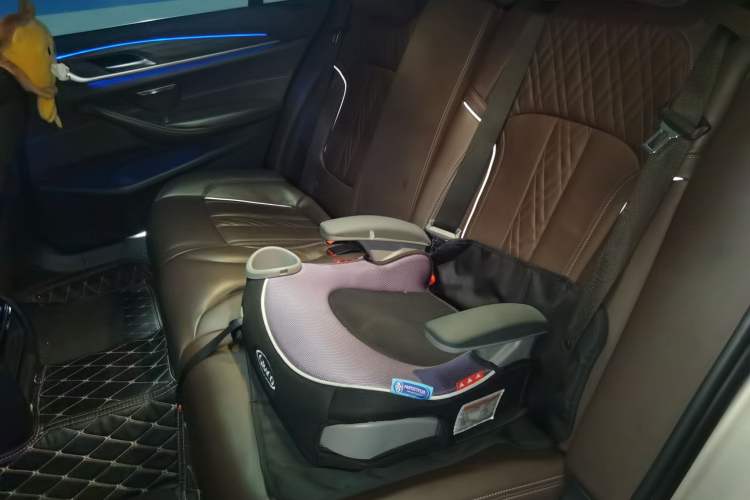 Used BMW 5 Series New Energy 2019 530Le Luxury Package Left Rear Seat