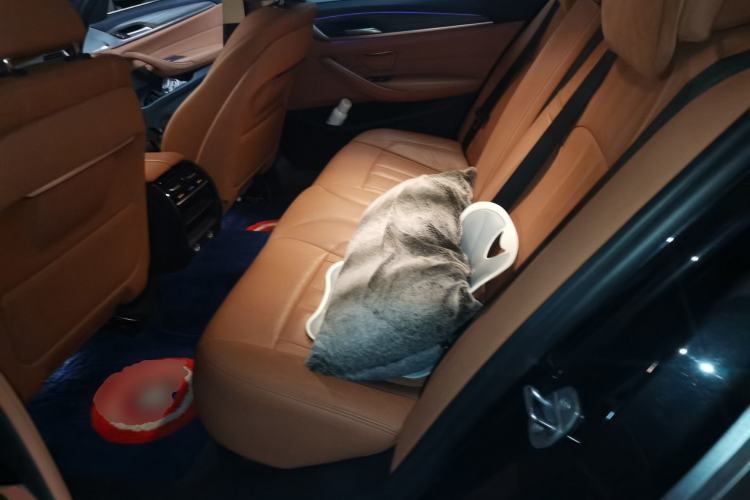 Used BMW 5 Series New Energy 2019 530Le Luxury Package Left Rear Seat