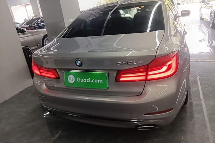 Used BMW 5 Series New Energy 2019 530Le Luxury Package Rear