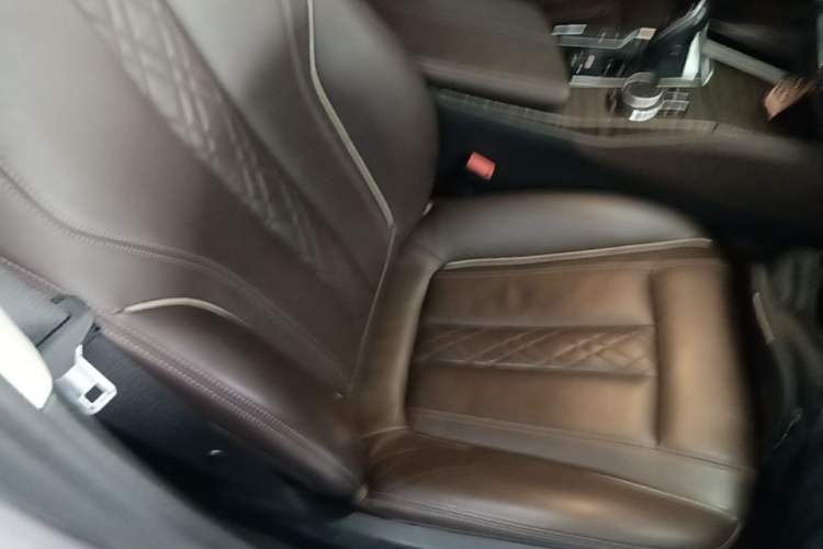 Used BMW 5 Series New Energy 2019 530Le Luxury Package Right Front Seat