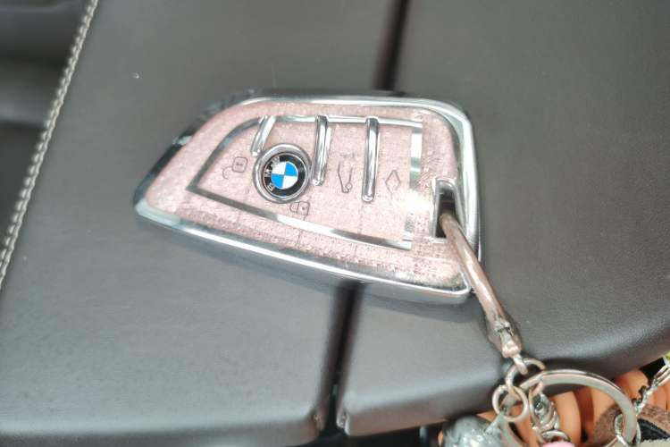 Used BMW 5 Series New Energy 2019 530Le Luxury Package Vehicle Key