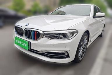 Used BMW 5 Series New Energy 2019 530Le Luxury Package