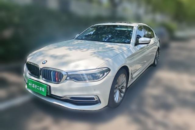 Used BMW 5 Series New Energy 2019 530Le Luxury Package
