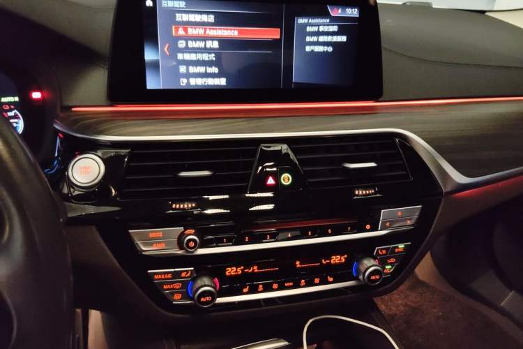 Used BMW 5 Series New Energy 2019 530Le Luxury Package Audio And AC Panel