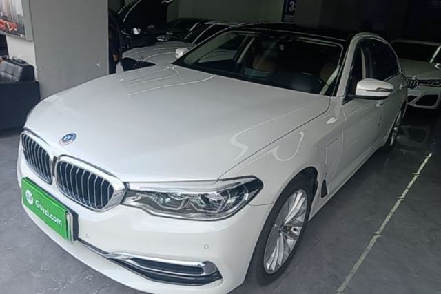 Used BMW 5 Series New Energy 2019 530Le Luxury Package