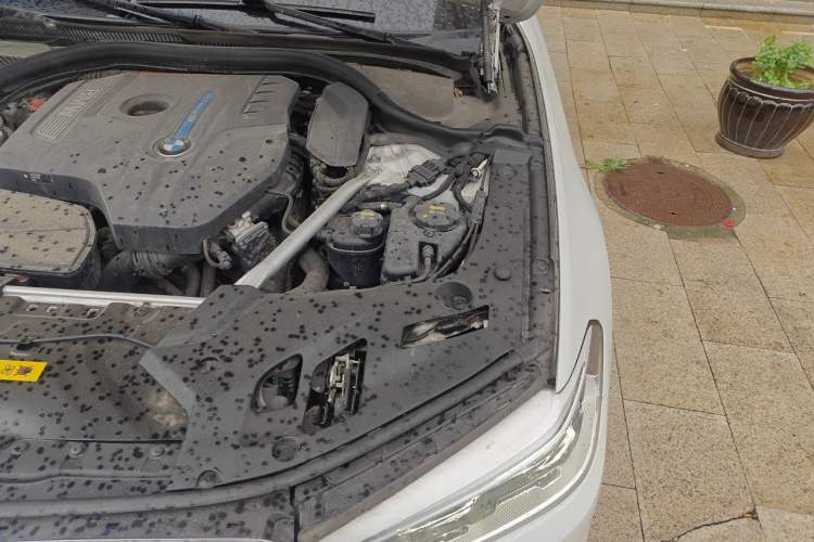 Used BMW 5 Series New Energy 2019 530Le Pioneer Edition Engine Bay Left