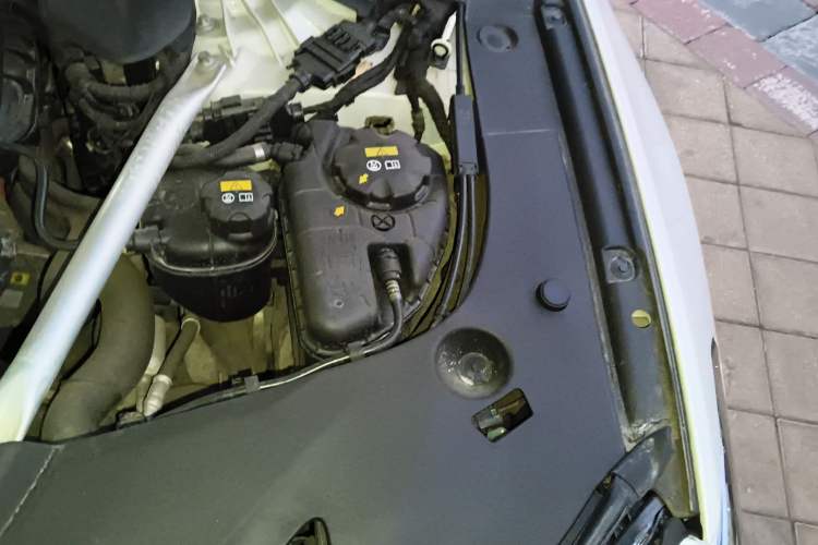 Used BMW 5 Series New Energy 2019 Updated Version 530Le Luxury Package Engine Bay Left