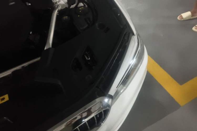 Used BMW 5 Series New Energy 2019 Updated Version 530Le Luxury Package Engine Bay Left
