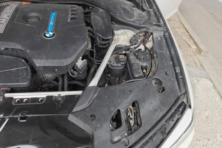 Used BMW 5 Series New Energy 2019 530Le Luxury Package Engine Bay Left