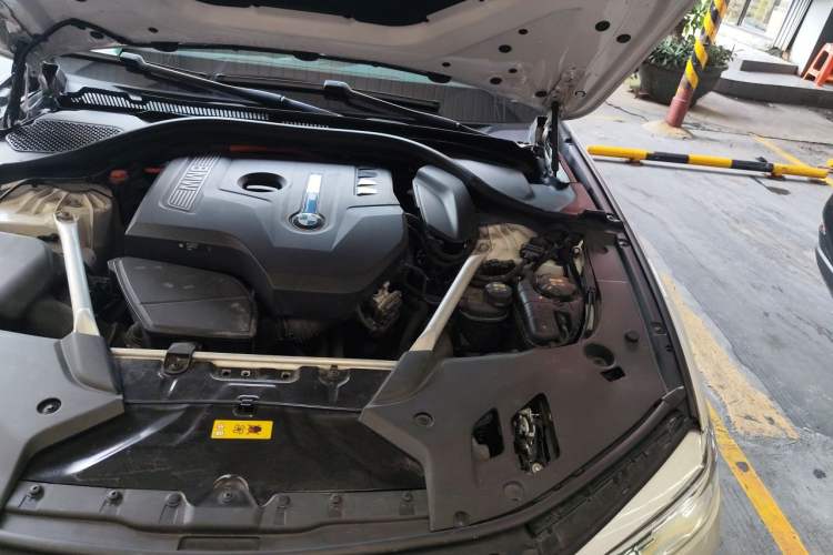 Used BMW 5 Series New Energy 2019 530Le Luxury Package Engine Bay Left