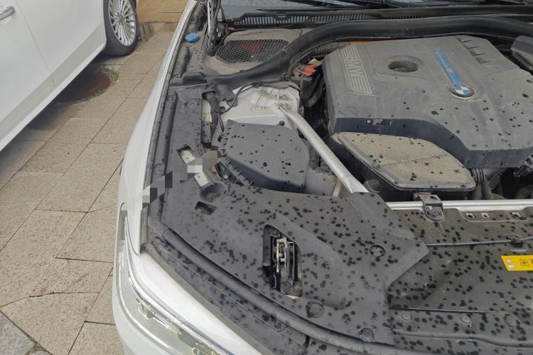 Used BMW 5 Series New Energy 2019 530Le Pioneer Edition Engine Bay Right