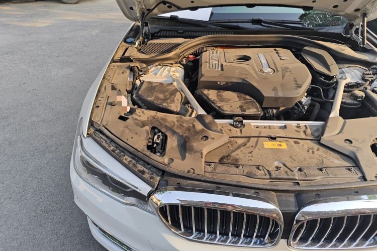 Used BMW 5 Series New Energy 2019 530Le Luxury Package Engine Bay Right