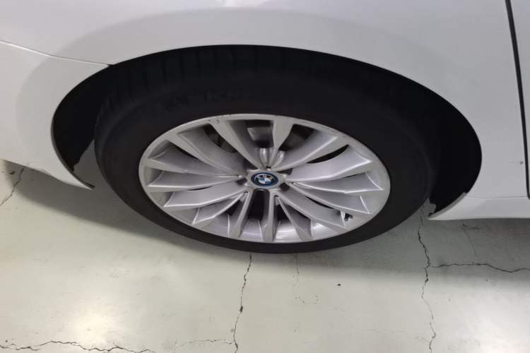 Used BMW 5 Series New Energy 2019 530Le Pioneer Edition Exterior 3