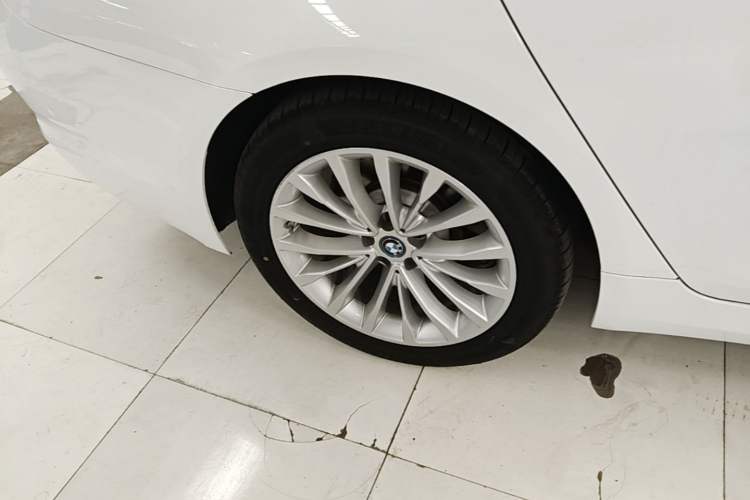 Used BMW 5 Series New Energy 2019 Updated Version 530Le Luxury Package Exterior 5