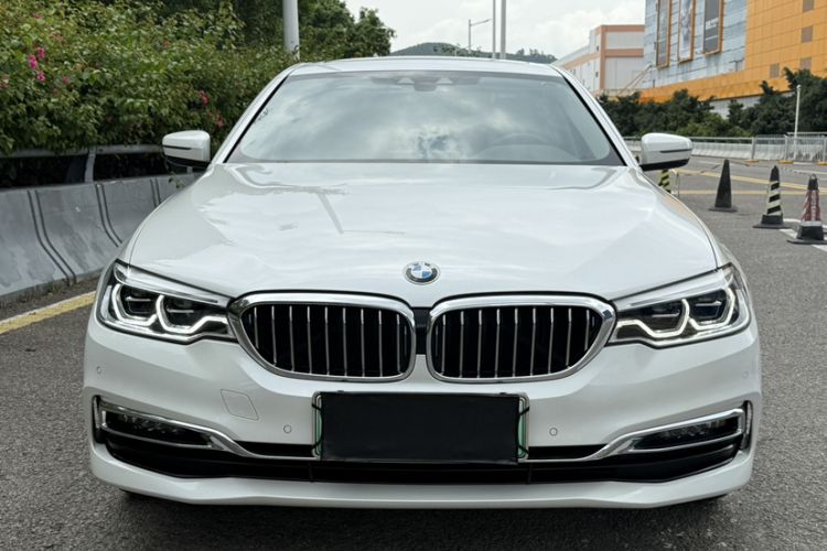 Used BMW 5 Series New Energy 2019 530Le Luxury Package Exterior 5