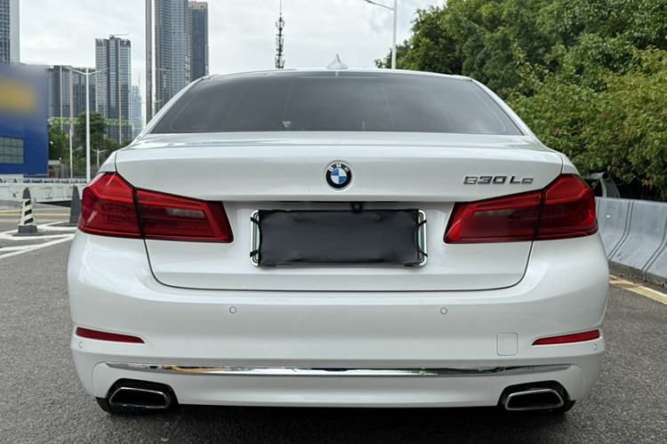 Used BMW 5 Series New Energy 2019 530Le Luxury Package Exterior 7