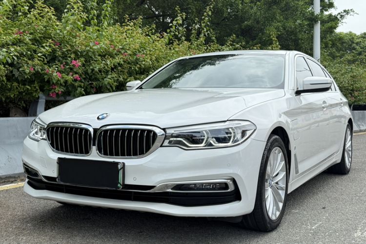 Used BMW 5 Series New Energy 2019 530Le Luxury Package Exterior 8