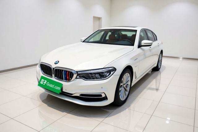 Used BMW 5 Series New Energy 2019 530Le Luxury Package