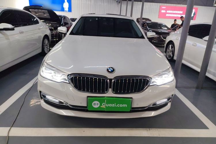 Used BMW 5 Series New Energy 2019 530Le Luxury Package Front