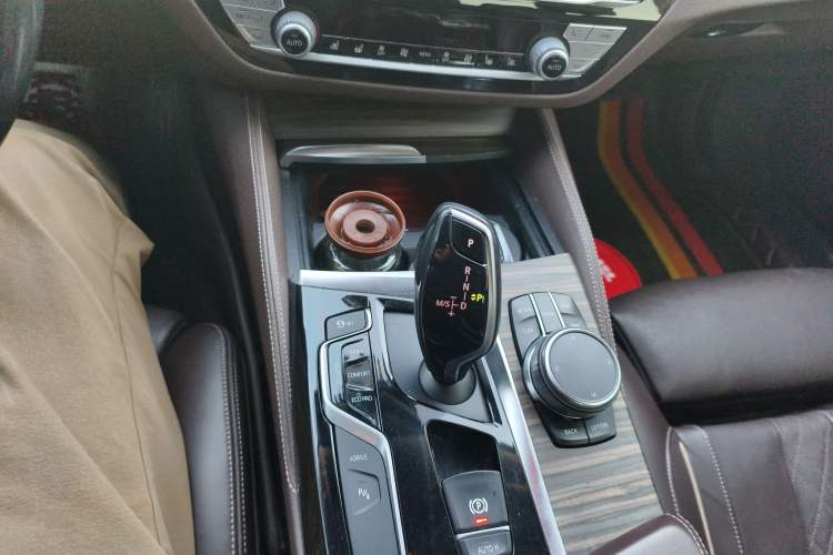 Used BMW 5 Series New Energy 2019 530Le Luxury Package Gear Lever