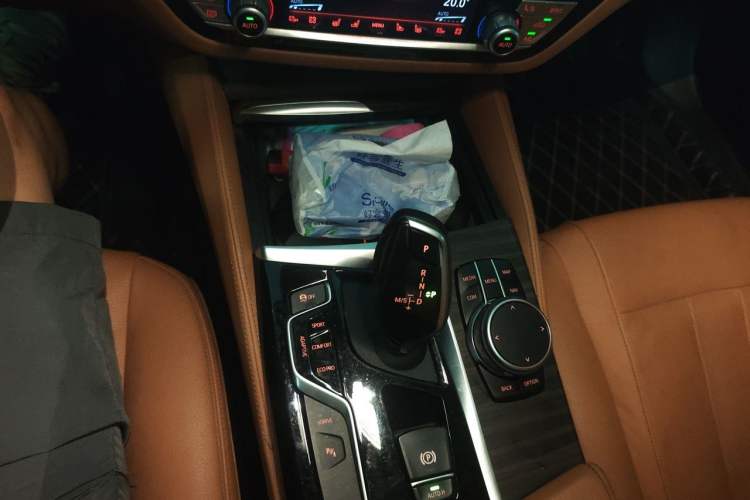 Used BMW 5 Series New Energy 2019 530Le Luxury Package Gear Lever