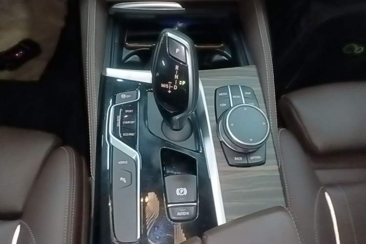 Used BMW 5 Series New Energy 2019 Updated 530Le Pioneer Edition Gear Lever