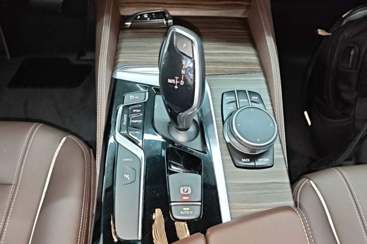 Used BMW 5 Series New Energy 2019 530Le Luxury Package Gear Lever