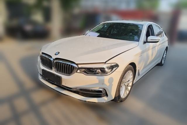 Used BMW 5 Series New Energy 2019 530Le Luxury Package
