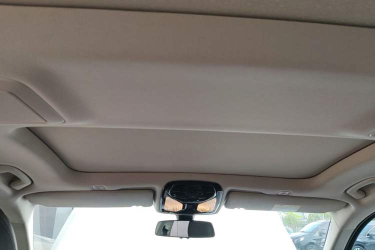 Used BMW 5 Series New Energy 2019 530Le Luxury Package Headliner